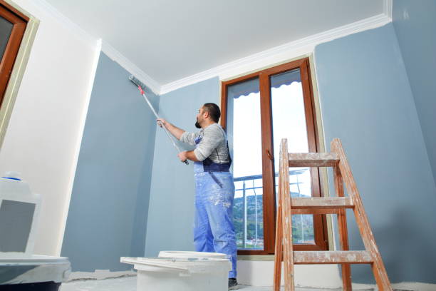 Best Basement Mold Removal  in New York Mills, MN