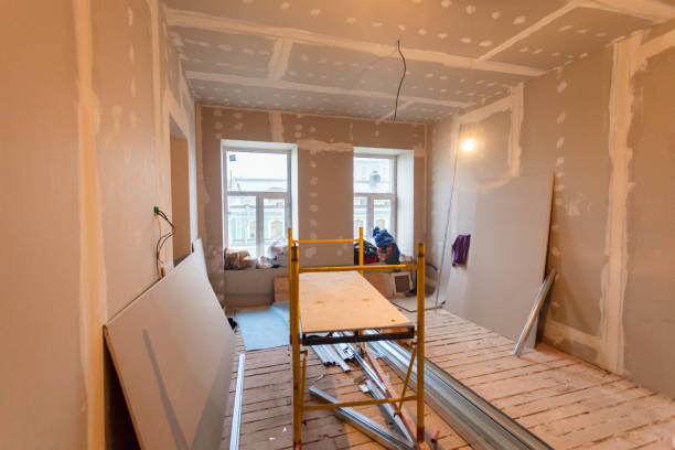 Best Real Estate Mold Inspection  in New York Mills, MN