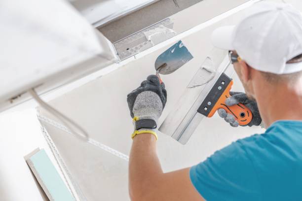 Reliable New York Mills, MN Mold Removal Solutions